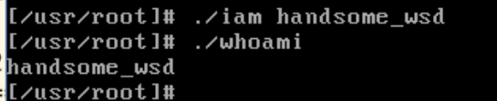 10 /oslab2/10.png
